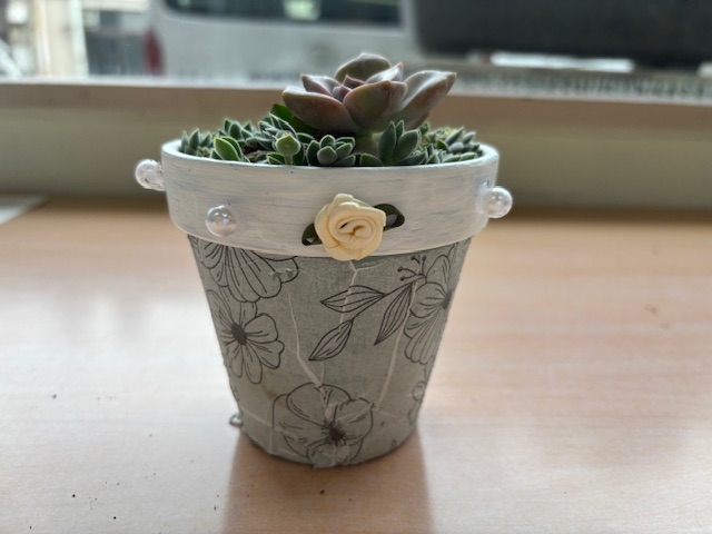 ふらっとデイ通信5月 多肉植物の寄せ植え体験｜ふらっとデイ通信